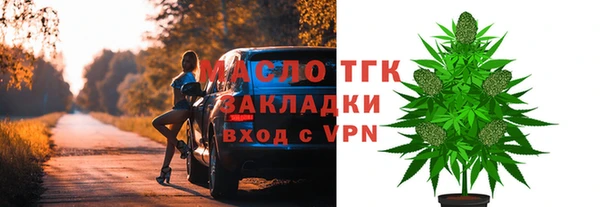 индика Богородицк